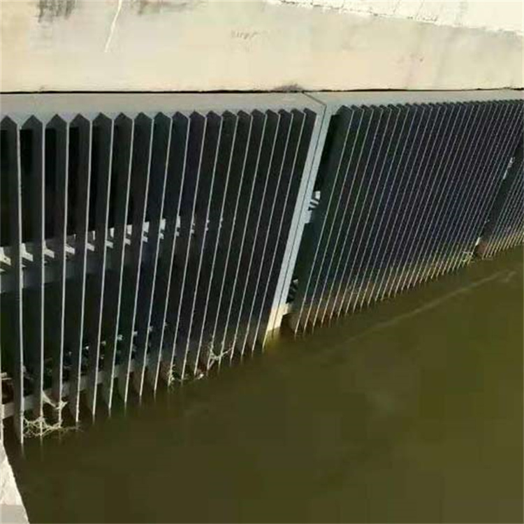 拦污栅